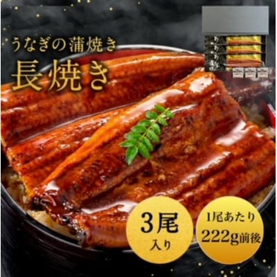 うなぎ蒲焼222g×3尾(大川市)
