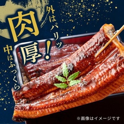 うなぎ蒲焼222g×3尾(大川市)