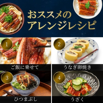 うなぎ蒲焼222g×3尾(大川市)