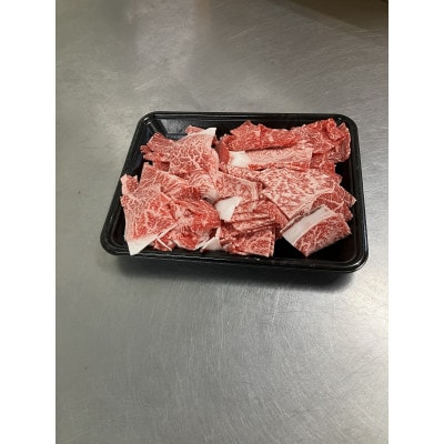 博多和牛　上質　ウデ肉切り落とし600g(大川市)
