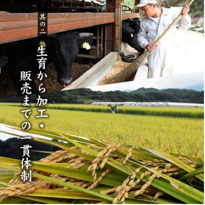 博多和牛サーロインステーキ2枚入り　(大川市)