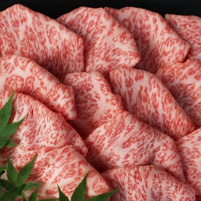 博多和牛　特選しゃぶしゃぶ400g　(大川市)