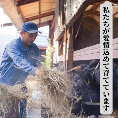 博多和牛　焼肉詰合せ 450g(大川市)