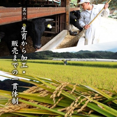 博多和牛 切り落とし450g(大川市)