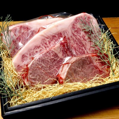 【セット】博多和牛A5ランク ヒレサーロインステーキギフト 各2枚 合計約1.1kg(大川市)
