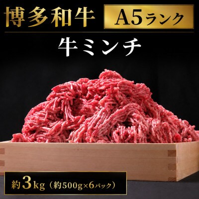博多和牛 牛ミンチ約3kg(約500g×6パック)(大川市)