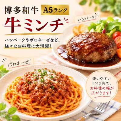 博多和牛 牛ミンチ約3kg(約500g×6パック)(大川市)