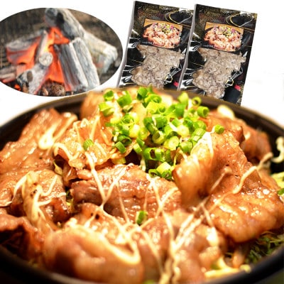 大川新名物!!ぎゃん丼(炭火豚丼)の具冷食2パック【メディア出演実績多数!!】