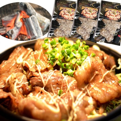 大川新名物!!ぎゃん丼(炭火豚丼)の具冷食 1パック(2人前)×3パック【メディア出演実績多数!!】