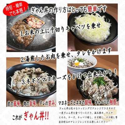 大川新名物!!ぎゃん丼(炭火豚丼)の具冷食 1パック(2人前)×3パック【メディア出演実績多数!!】