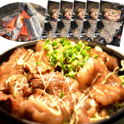 大川新名物!!ぎゃん丼(炭火豚丼)の具冷食 1パック(2人前)×5パック【メディア出演実績多数!!】