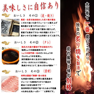 大川新名物!!ぎゃん丼(炭火豚丼)の具冷食 1パック(2人前)×5パック【メディア出演実績多数!!】
