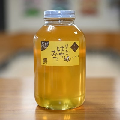 一戸町産はちみつ　はち郎のはちみつ一升2.4kg(とち)