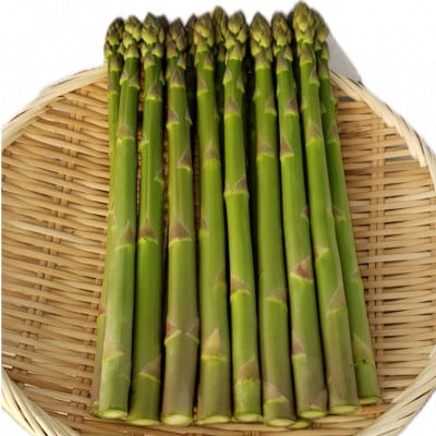 いわて奥中山高原グリーンアスパラ　1kg(L～2L)