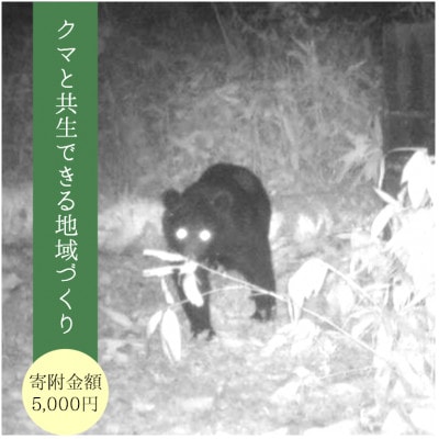 【返礼品なし】岩手県一戸町 クマと共生できる地域づくりのために 寄付額5,000円