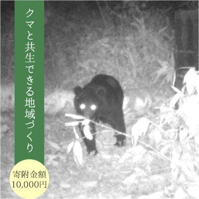 【返礼品なし】岩手県一戸町 クマと共生できる地域づくりのために 寄付額10,000円