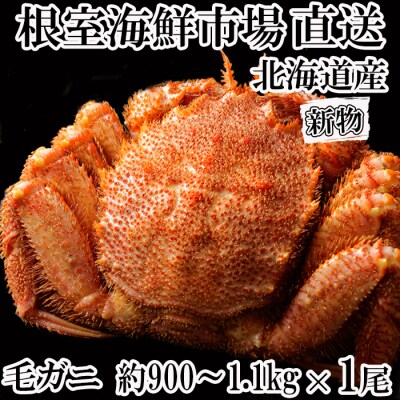 【12/13まで年内配送】ボイル毛がに(新物)約900g～1.1kg×1尾 C-11019
