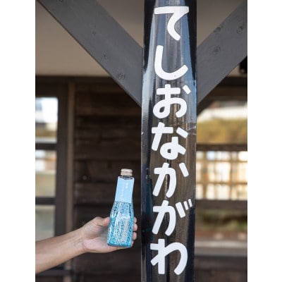 綾波ハッカサイダー【ナカガワのナカガワ】240ml×12本