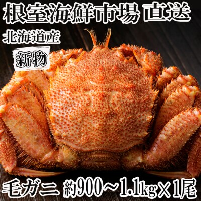 【12/13まで年内配送】ボイル毛がに(新物)約900g～1.1kg×1尾 C-28019