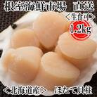 【12/13まで年内配送】＼漁業者応援品/お刺身用ほたて貝柱1.2kg A-11002