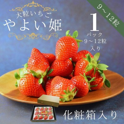 【宮崎県国富町産大粒いちご】やよい姫 (9～12粒×1パック 約380g) 化粧箱入り