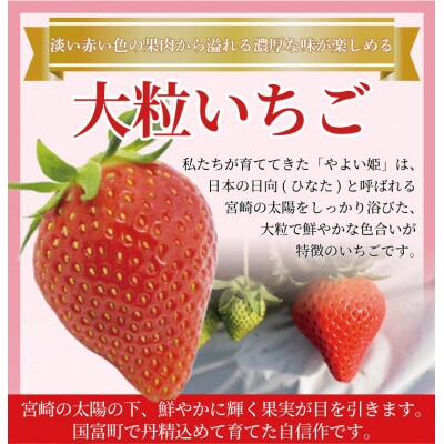 【宮崎県国富町産大粒いちご】やよい姫 (9～12粒×1パック 約380g) 化粧箱入り