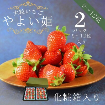 【宮崎県国富町産大粒いちご】やよい姫 (9～12粒×2パック 合計約760g) 化粧箱入り