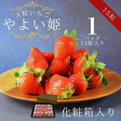 【宮崎県国富町産大粒いちご】やよい姫 (15粒×1パック 約380g) 化粧箱入り