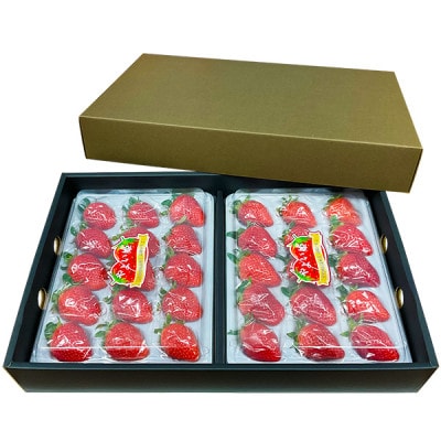 【宮崎県国富町産大粒いちご】やよい姫 (15粒×2パック 合計約760g) 化粧箱入り