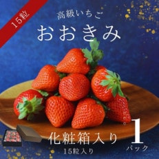 福岡の産直いちご農家 武下さんちのあまおう4Lサイズ450g