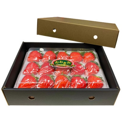 【宮崎県国富町産いちご】おおきみ (15粒×1パック 約380g) 化粧箱入り