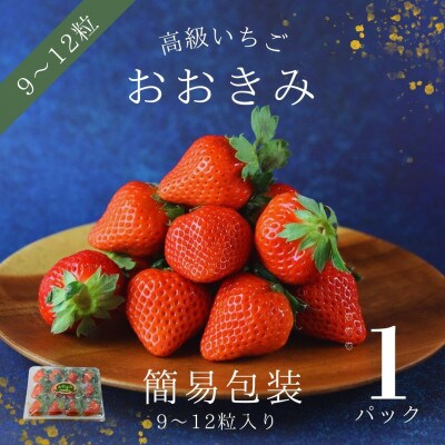 簡易包装【宮崎県国富町産高級いちご】おおきみ (9～12粒×1パック 約380g)