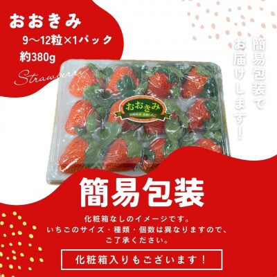 簡易包装【宮崎県国富町産高級いちご】おおきみ (9～12粒×1パック 約380g)