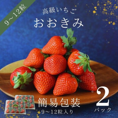 簡易包装【宮崎県国富町産高級いちご】おおきみ (9～12粒×2パック 合計約760g)