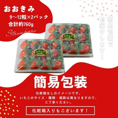 簡易包装【宮崎県国富町産高級いちご】おおきみ (9～12粒×2パック 合計約760g)