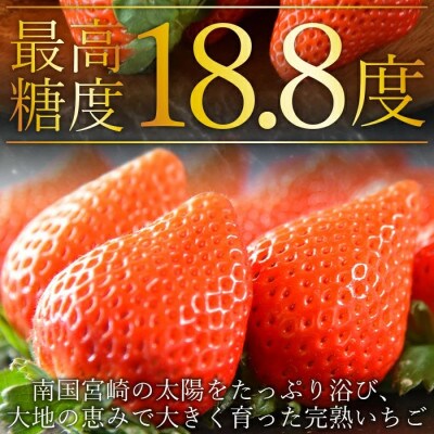 簡易包装【宮崎県国富町産高級いちご】おおきみ (9～12粒×2パック 合計約760g)