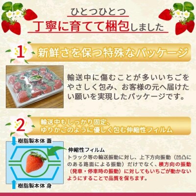 簡易包装【宮崎県国富町産高級いちご】おおきみ (9～12粒×2パック 合計約760g)