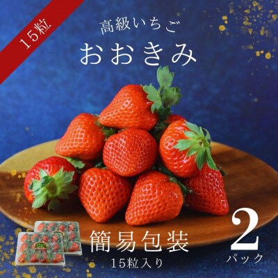 簡易包装【宮崎県国富町産いちご】おおきみ (15粒×2パック 合計約760g)