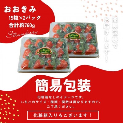 簡易包装【宮崎県国富町産いちご】おおきみ (15粒×2パック 合計約760g)