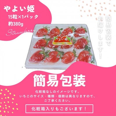 簡易包装【宮崎県国富町産大粒いちご】やよい姫 (15粒×1パック 約380g)