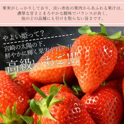 簡易包装【宮崎県国富町産大粒いちご】やよい姫 (15粒×1パック 約380g)
