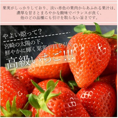 簡易包装【宮崎県国富町産大粒いちご】やよい姫 (15粒×2パック 合計約760g)