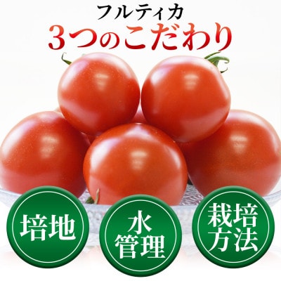 完熟ミディトマト「フルティカ」750g×2パック 合計1.5kg
