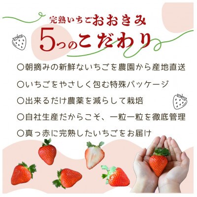 高級いちご「おおきみ」と完熟ミディトマト「フルティカ」セット