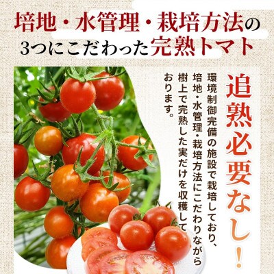 高級いちご「おおきみ」と完熟ミディトマト「フルティカ」セット