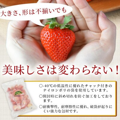 高級いちご「おおきみ」冷凍いちご 1kg(500g×2)
