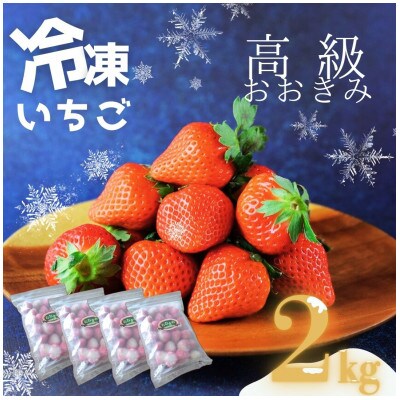 高級いちご「おおきみ」冷凍いちご 2kg(500g×4)
