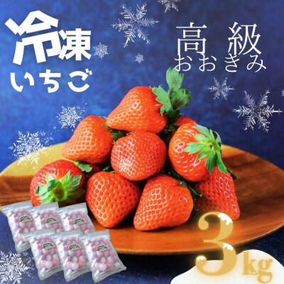 高級いちご「おおきみ」冷凍いちご 3kg(500g×6)