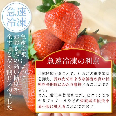 高級いちご「おおきみ」冷凍いちご 3kg(500g×6)