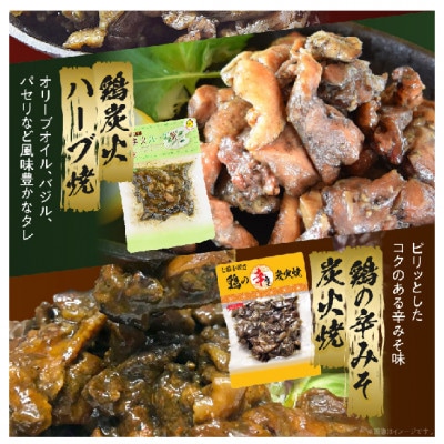 宮崎名物 炭火バラエティーセット